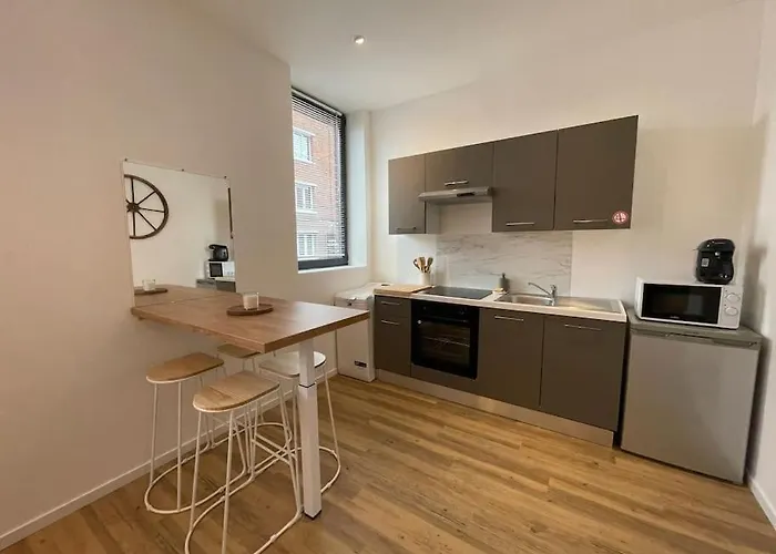 La Belle Mine, Proche Gare, Hyper Centre * Lens